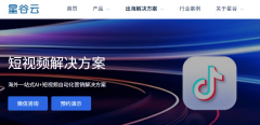 全球化计谋：挑选海外营销公司的环节考